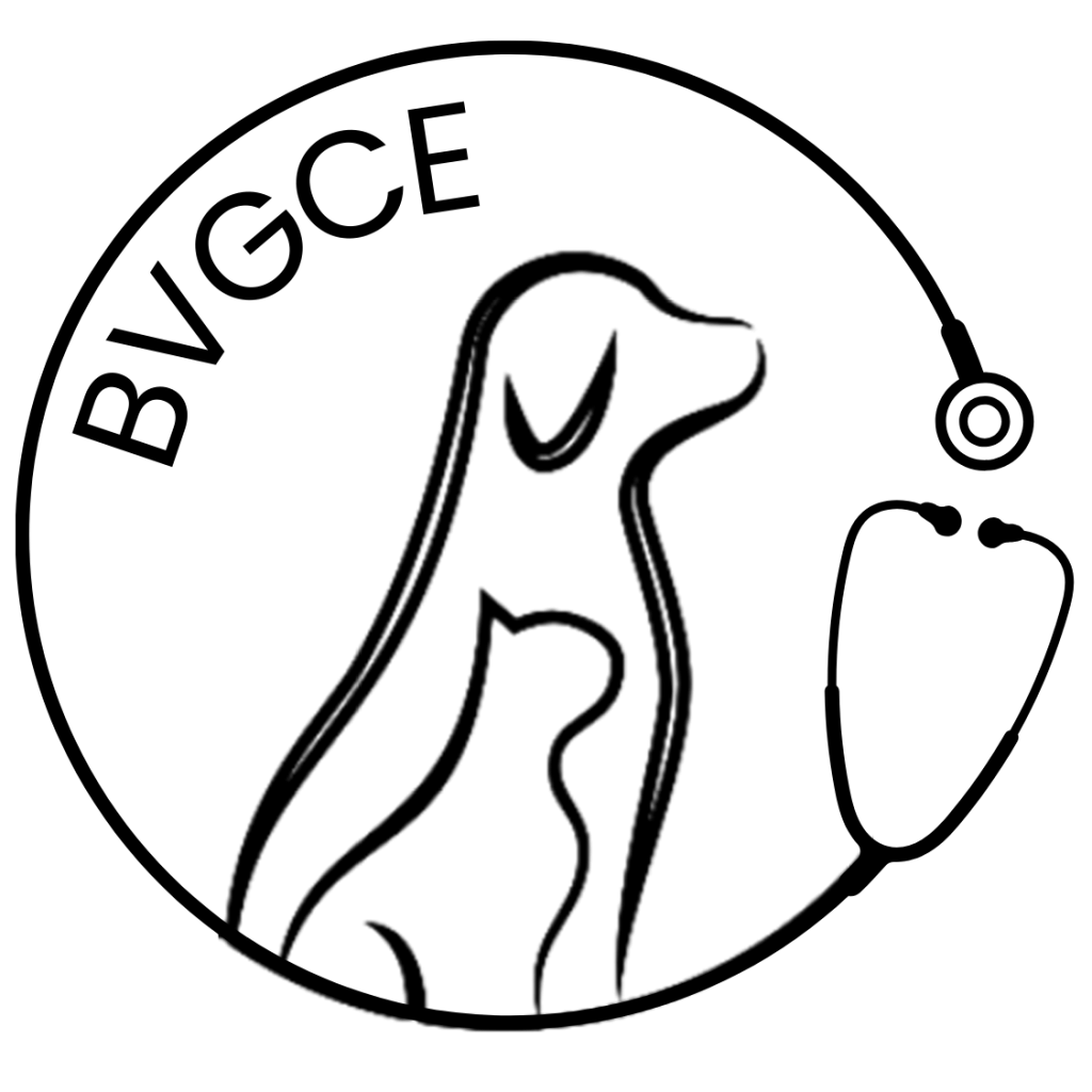 BVGCE Logo